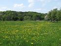2010-05-09, Höfgen + Grimma (19)